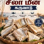 தூத்துக்குடி கருவாடு சீலா மீன் கருவாடு